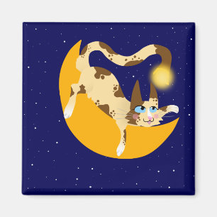 AIMANT ACCROCHER SUR LA LUNE