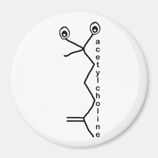 aimant acétylcholine