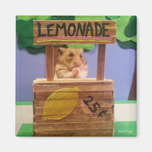 Aimant Achèterez-vous de la limonade ? Veuillez assez ?