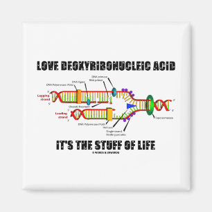 Aimant Acide désoxyribonucléique d'amour c'est la