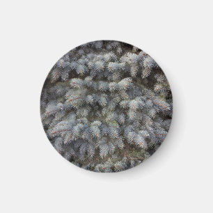 Aimant Acier, gris, vert et bleu épicéa bouton classe