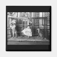 Adgie et ses Lions Formés1897