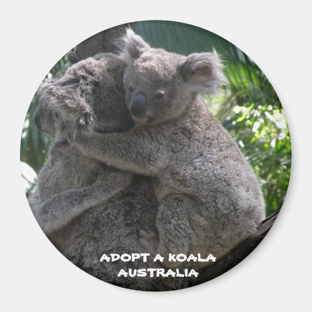 Aimant Adopter un koala Australie ZIZZAGO (Devant)