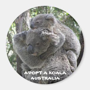 Aimant Adoptez un koala Australie ZIZZAGO