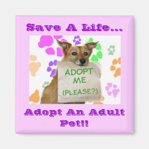 Aimant Adoptme, sauvent une vie…, adoptent un animal