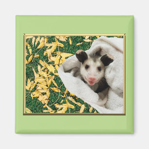 Aimant Adorable bébé doux Opossum