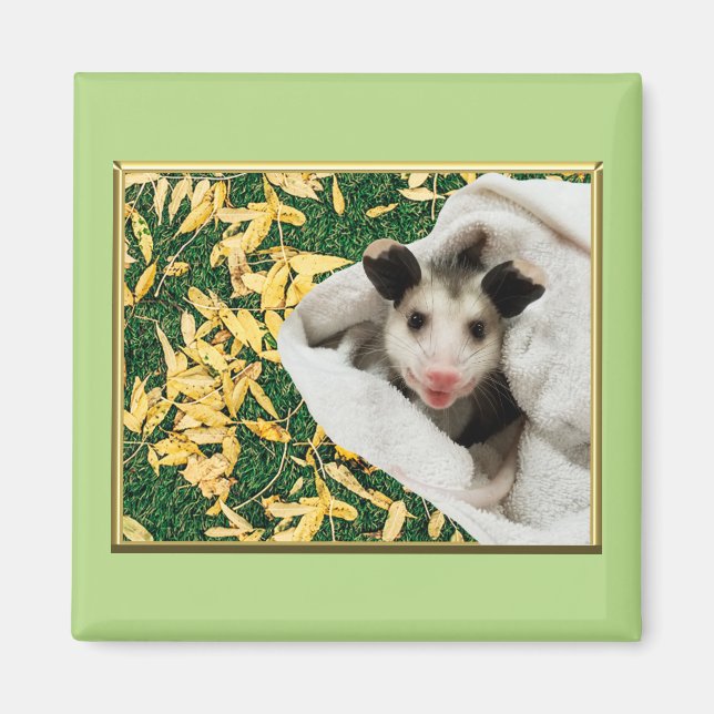 Aimant Adorable bébé doux Opossum (Devant)