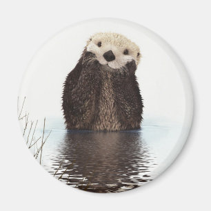 Aimant Adorable Otter souriant dans le lac