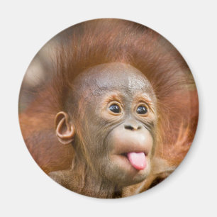 Aimant Affaires de singe 2