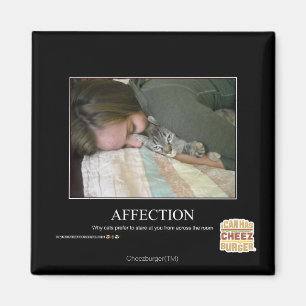 Aimant Affection