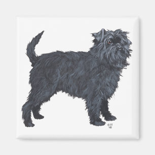 Aimant Affenpinscher