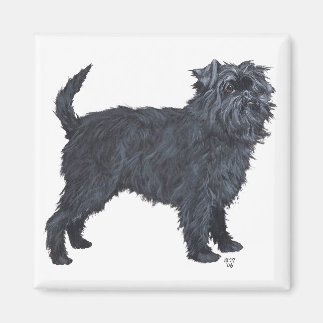 Aimant Affenpinscher (Devant)