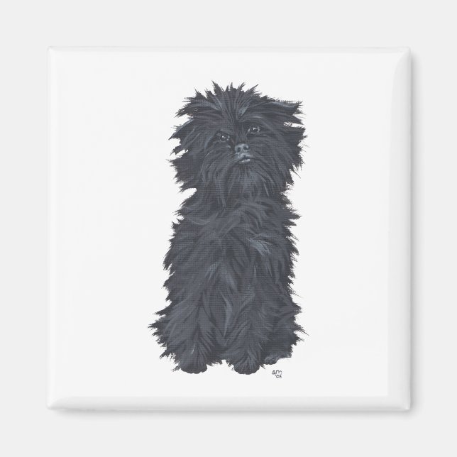 Aimant Affenpinscher assis (Devant)