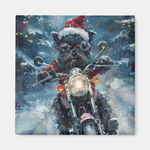 Aimant Affenpinscher Chien équitation Moto Noël