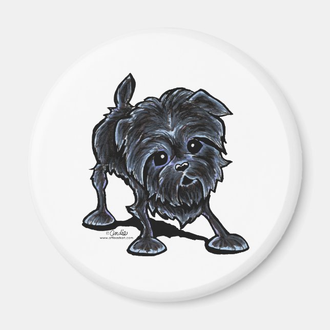 Aimant Affenpinscher en jeu (Devant)