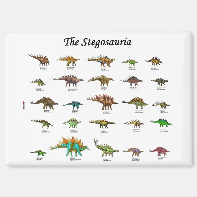 Aimant affiche du graphique des dinosaures (Recto)