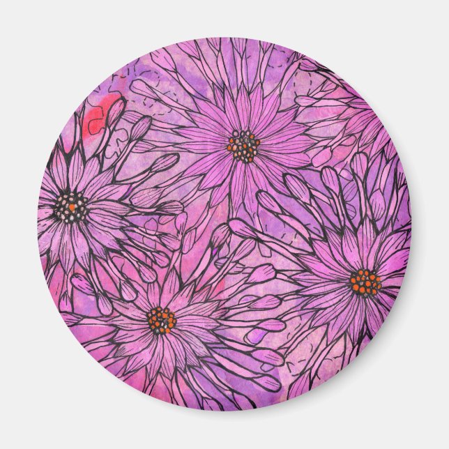 Aimant African Daisy Cape Daisies Fleurs roses Art Floral (Devant)