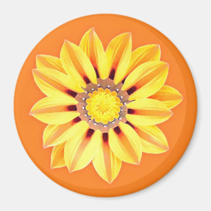 Aimant African Daisy / Gazania - Orange et Jaune