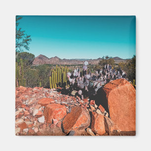 Aimant Afrique Désert Paysage Nature Cactus Plantes