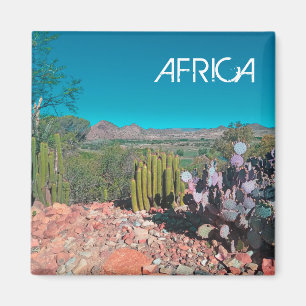 Aimant Afrique Désert Paysage Nature Cactus Plantes
