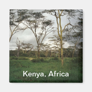 Aimant Afrique Kenya terre sauvage