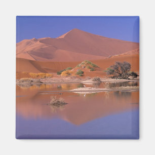 Aimant Afrique, Namibie. Parc Namib-Naukluft. 2