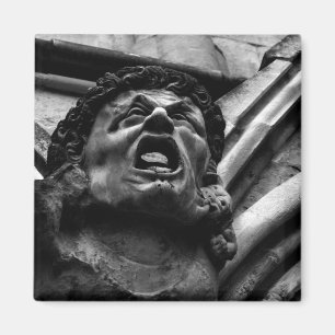 Aimant Agonie de la morsure Imps Gargoyle gothique