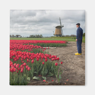 Aimant Agriculteur inspectant ses tulipes et moulin à