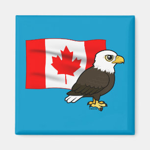 Aimant Aigle à tête blanche canadienne