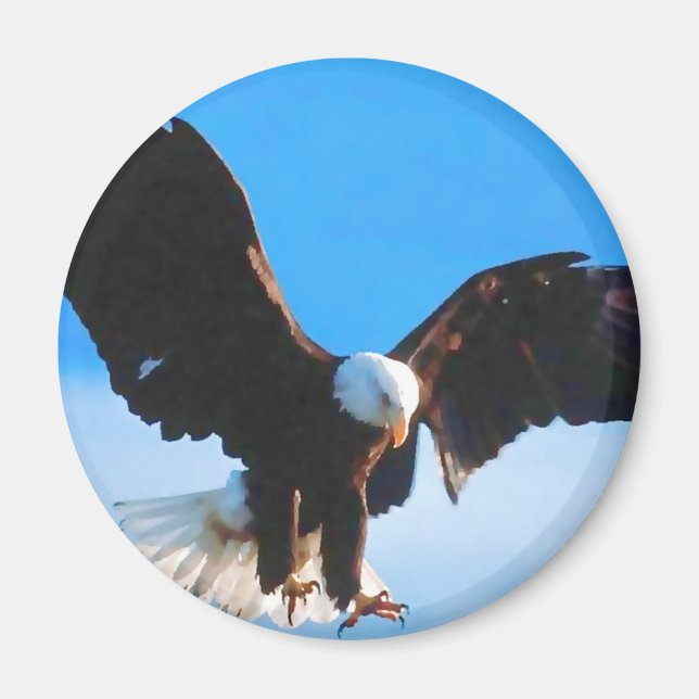 Aimant Aigle d'Amérique (Devant)