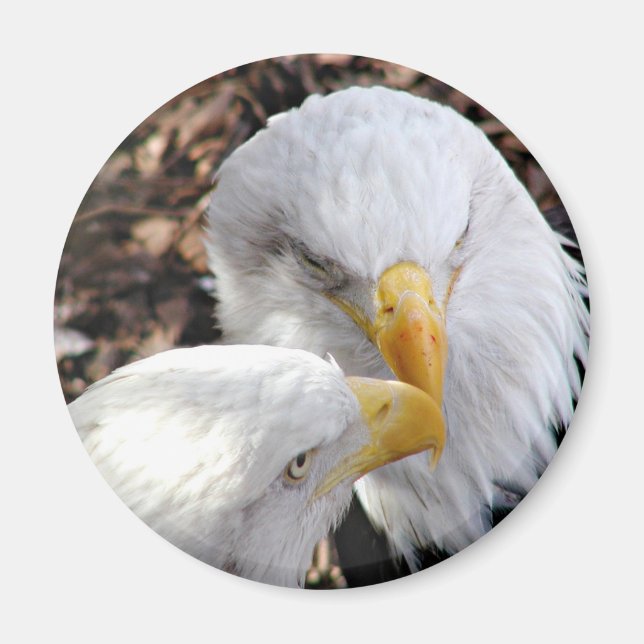 Aimant aigles (Devant)