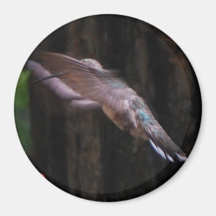 Aimant Ailes angéliques