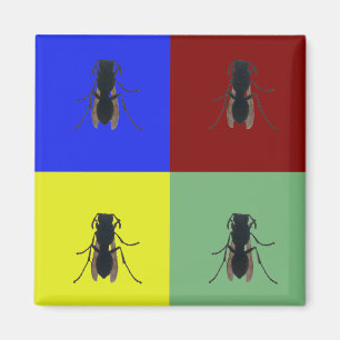 Aimant Ailes primaires