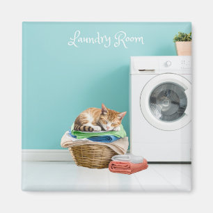 Aimant Aimant, Buanderie Avec Chat