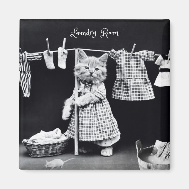 Aimant Aimant, Lave-linge à suspension de chat (Devant)