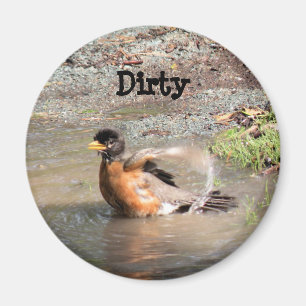 Aimant Aimant, Lave-vaisselle, Robin prenant un bain, Sal