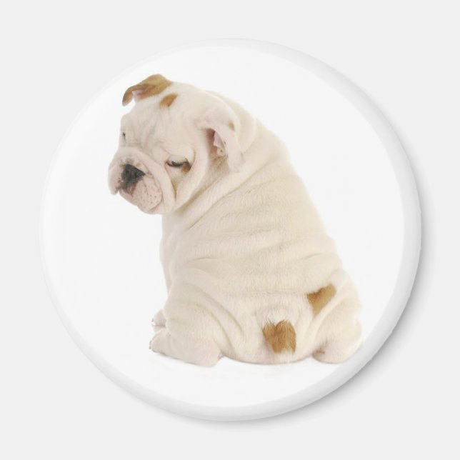 Aimant Aimer Anglais Bulldog Chien Chien Chien Chien Chie (Devant)