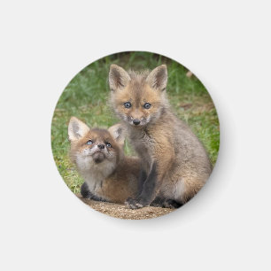 Aimant Aimer les yeux