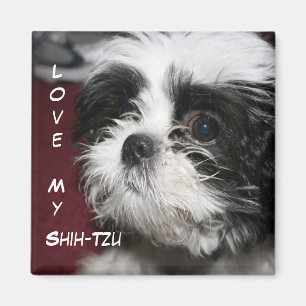 Aimant Aimez mon Shih-Tzu