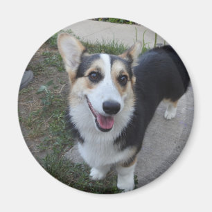 Aimant Ajoutez la photo de votre animal de compagnie à c