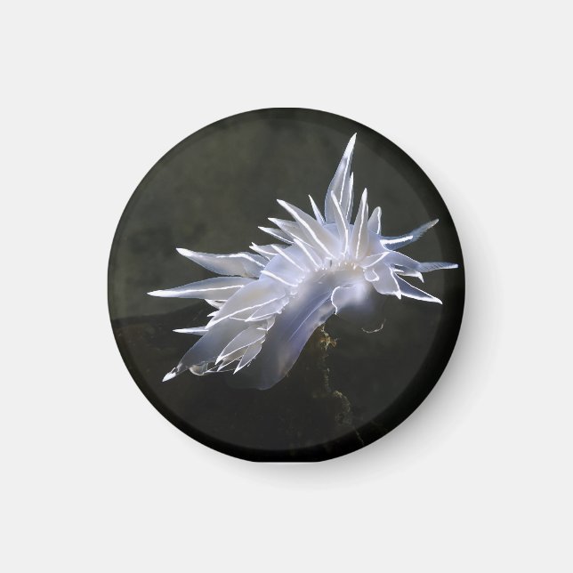 Aimant Alabaster Nudibranche (Devant)