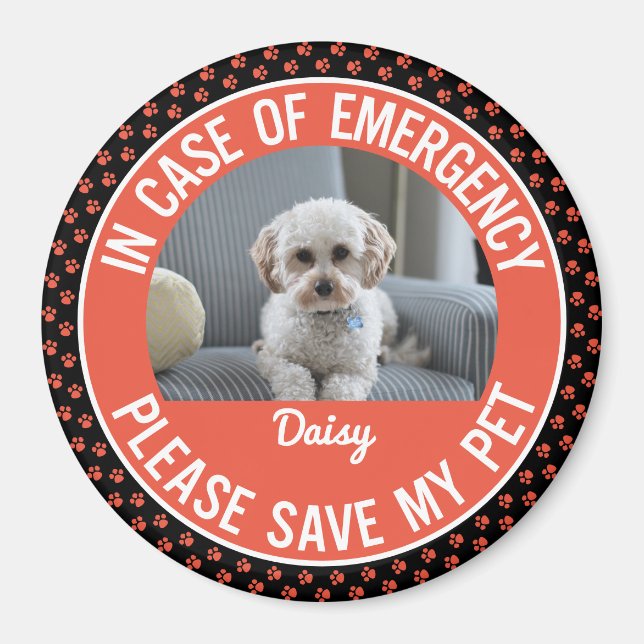 Aimant Alerte à la sécurité des animaux Photo et nom Inte (Devant)