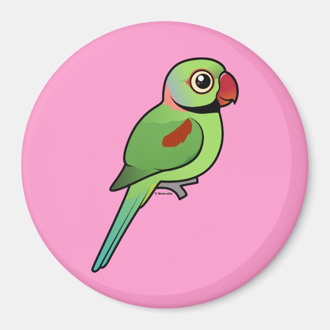 Aimant Alexandrine Parakeet (Devant)