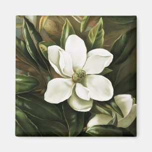 Aimant Alicia H. Laird : Magnolia Grandflora