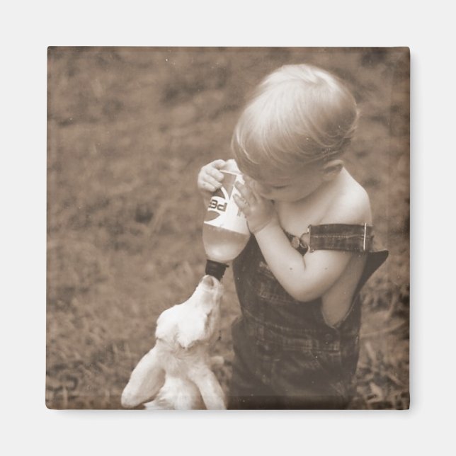 Aimant Alimentation de l'aimant de chèvre (Devant)