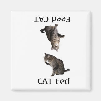 Aimant AlimentationLeChat