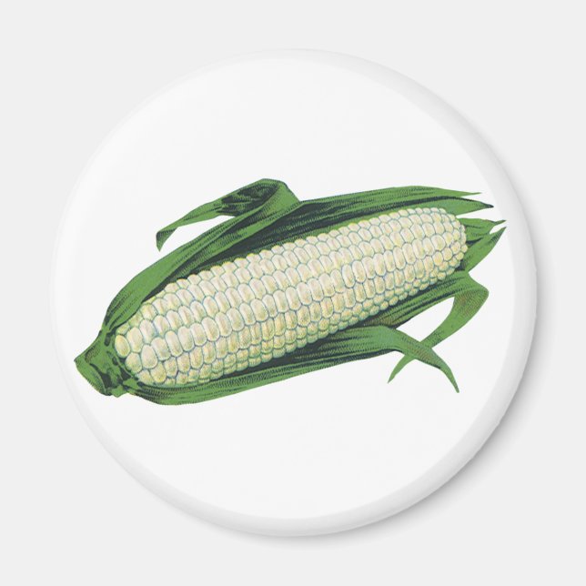 Aimant Aliments anciens Légumes Maïs blanc en épi (Devant)