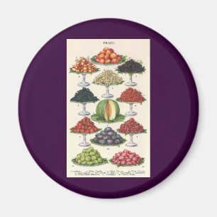 Aimant Aliments Vintage Assortis de Fruits sur Plateaux p