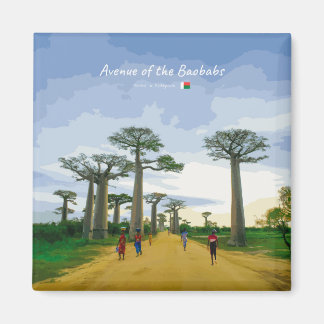 Aimant Allée des Baobabs, Madagascar - Paysage