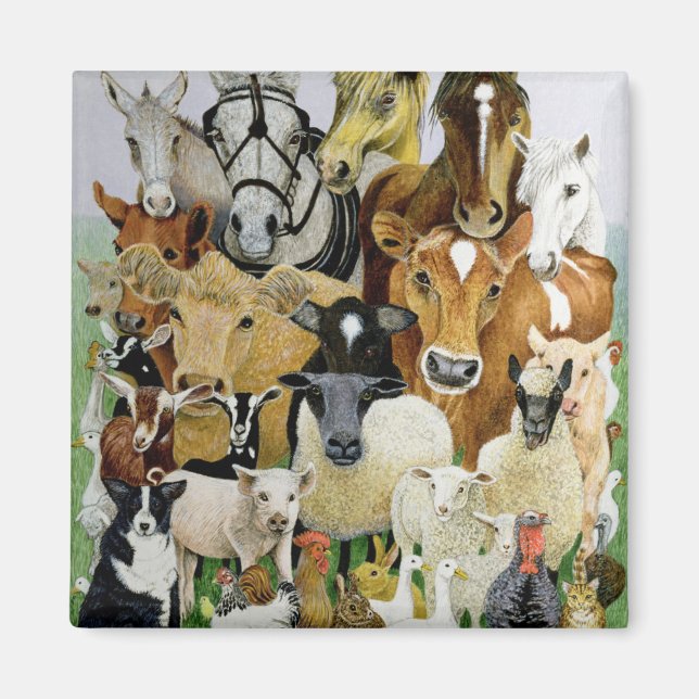 Aimant Allergies animales (Devant)